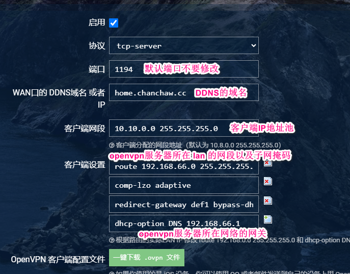 openWrtOpenVPN
